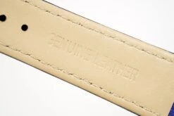 Versace Ladies Watch V-Circle The Clans Edition Blue Gold VE8100218 -Clock More Than Watches versace watch v circle the clans e blue gold ve8100218 138801